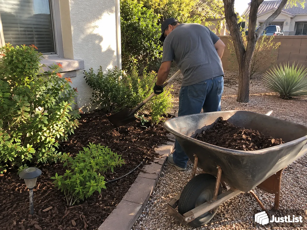 Landscaping in Phoenix