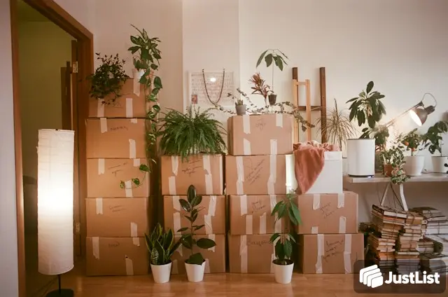 Help for junk removal projects