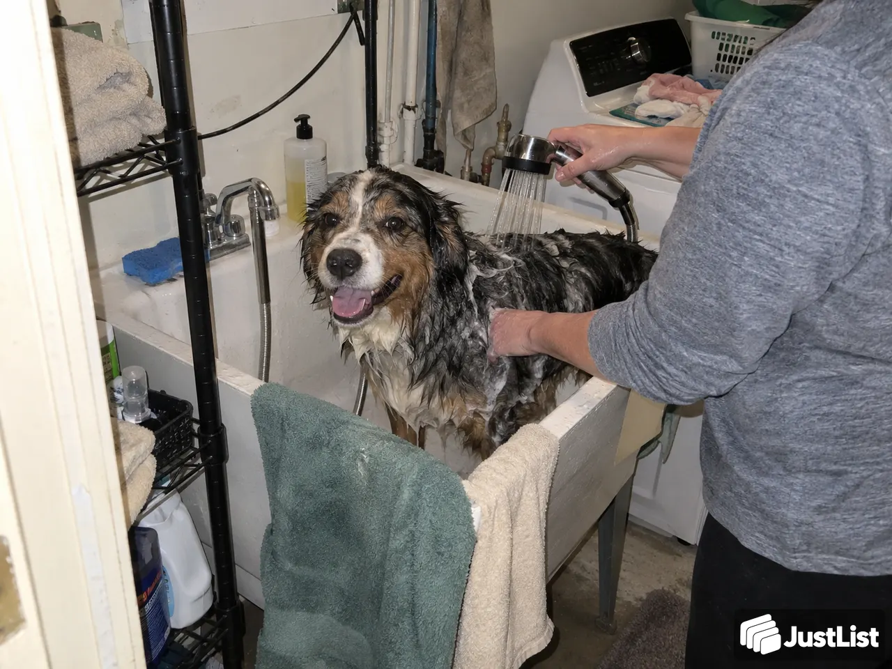 Bath, brush and a little coat tidy