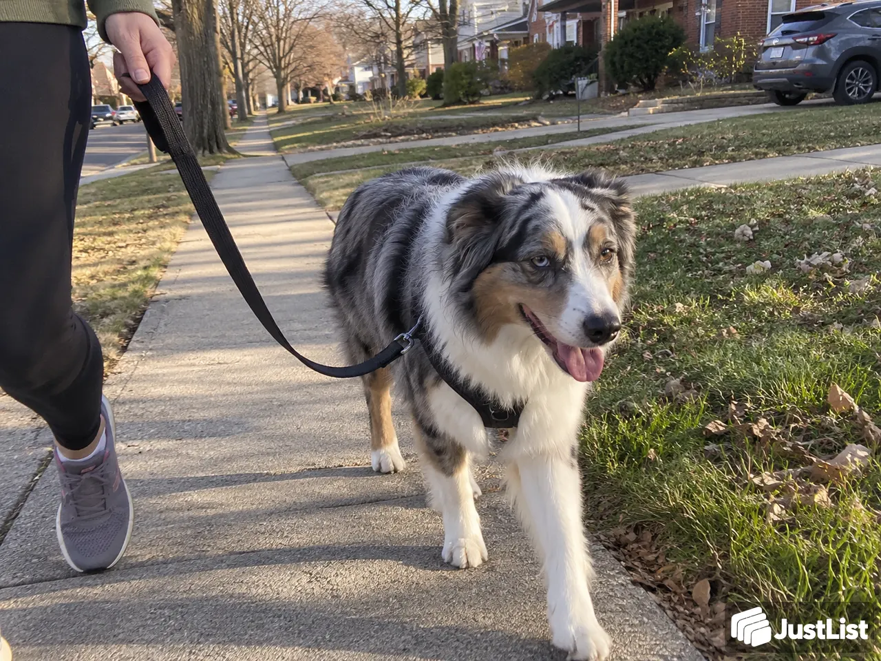 Short breaks or longer sniffing walks · Detroit Metro