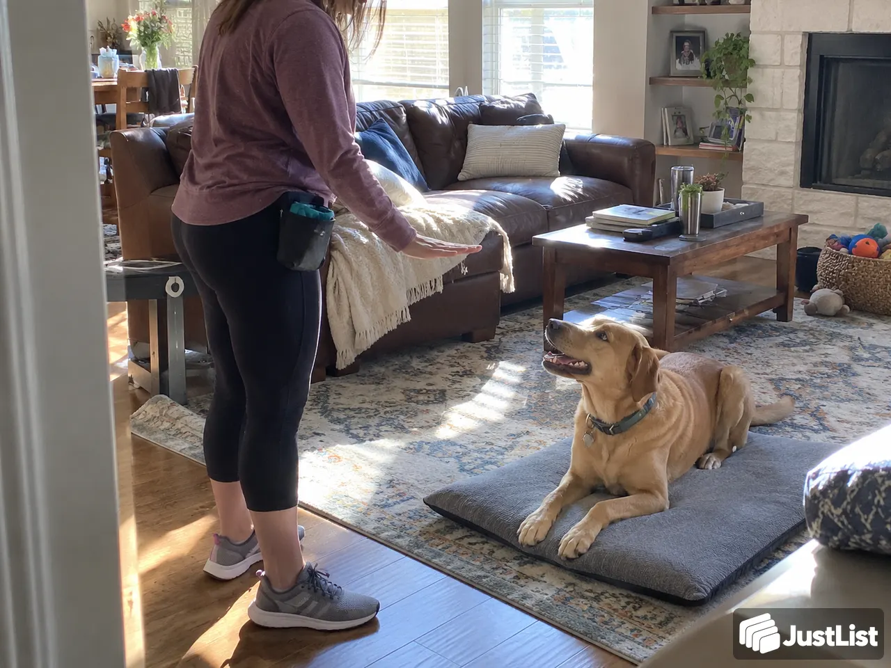 Work on a few dog-training basics