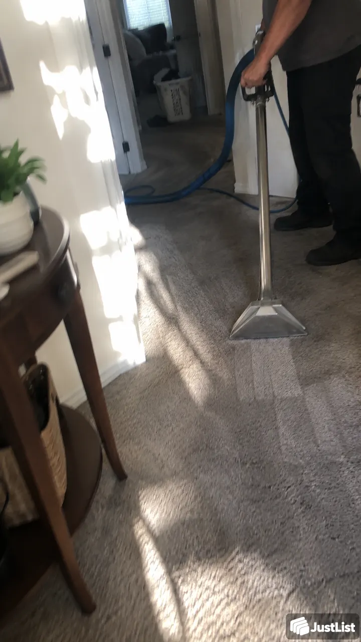 Carpet spots and everyday dirt