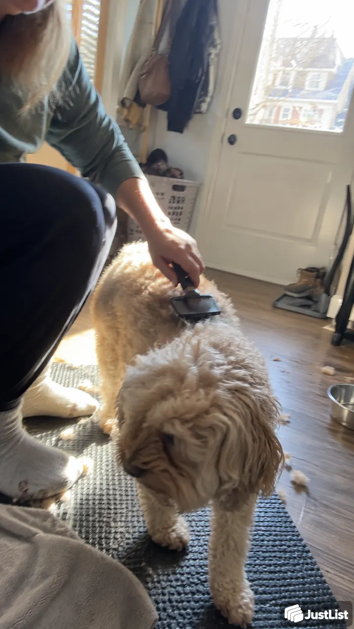 Philadelphia: Bath, brush and a little coat tidy