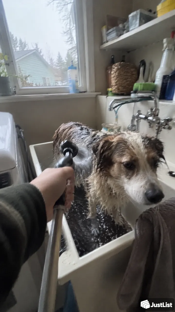 Bathing and basic grooming · Portland
