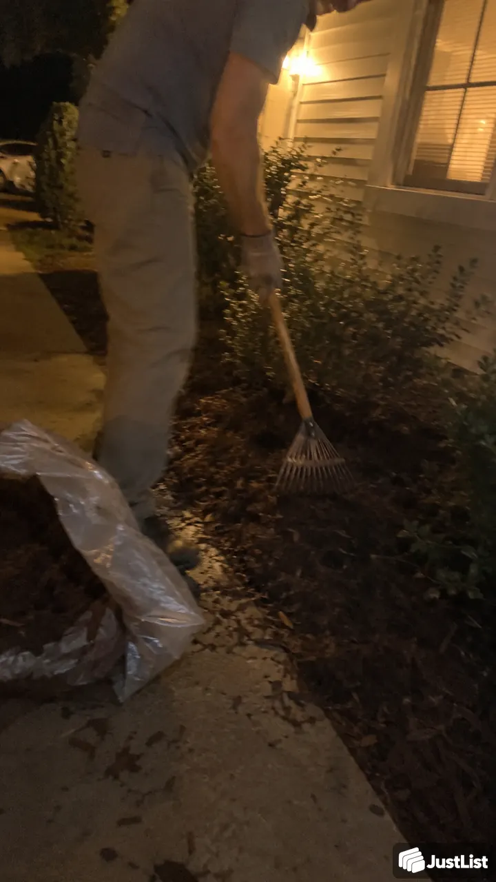 Raleigh: Small garden projects and weeding