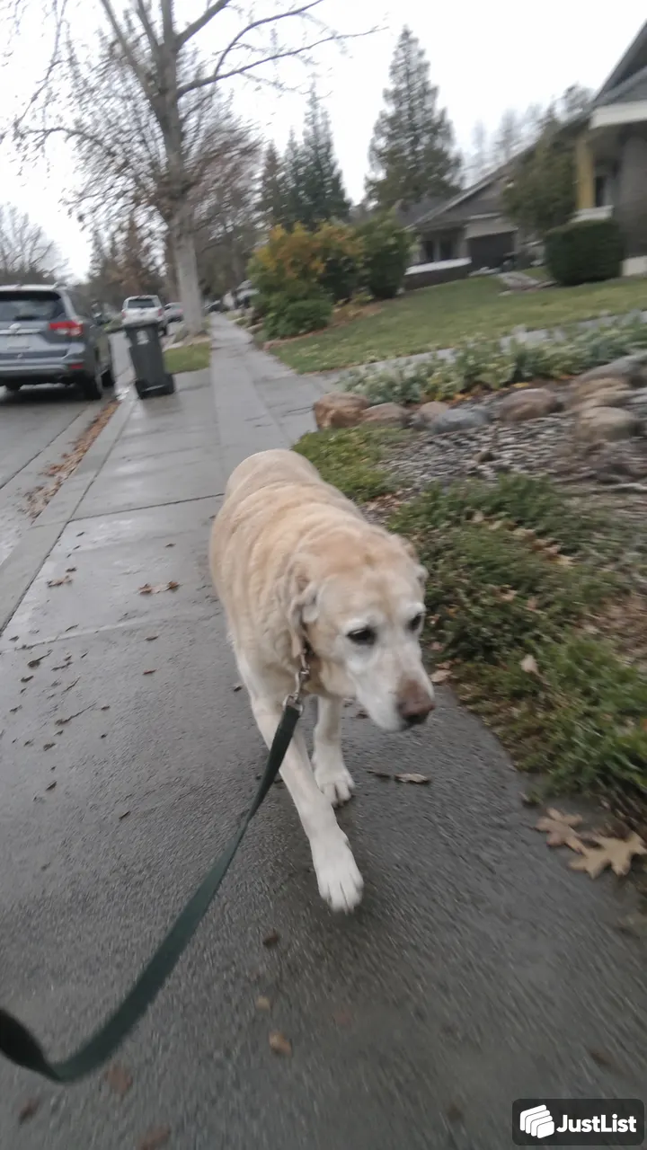 A walk while you're stuck at work · Sacramento