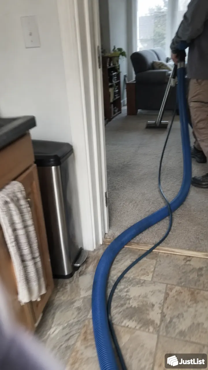 Carpet spots and everyday dirt