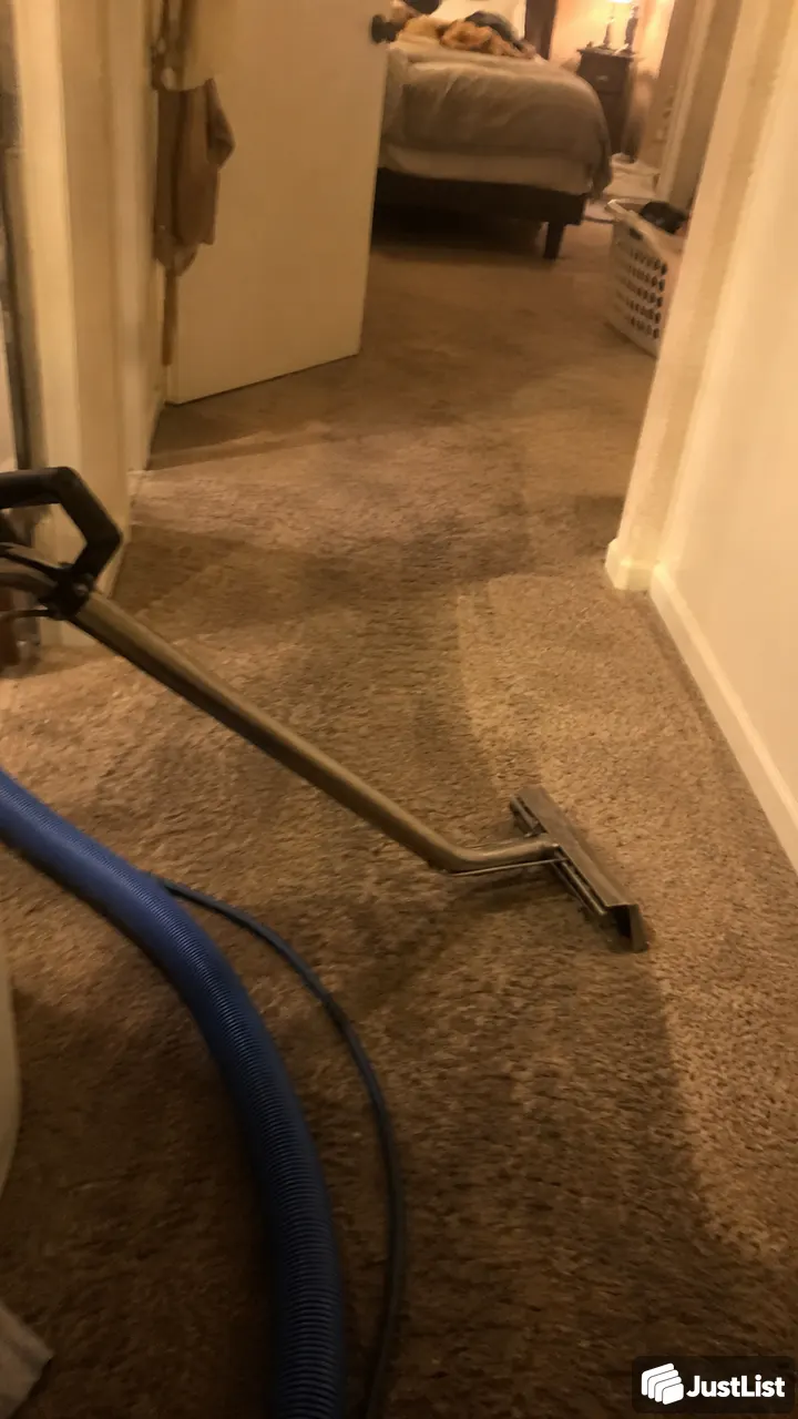 South Florida: Carpet spots and everyday dirt