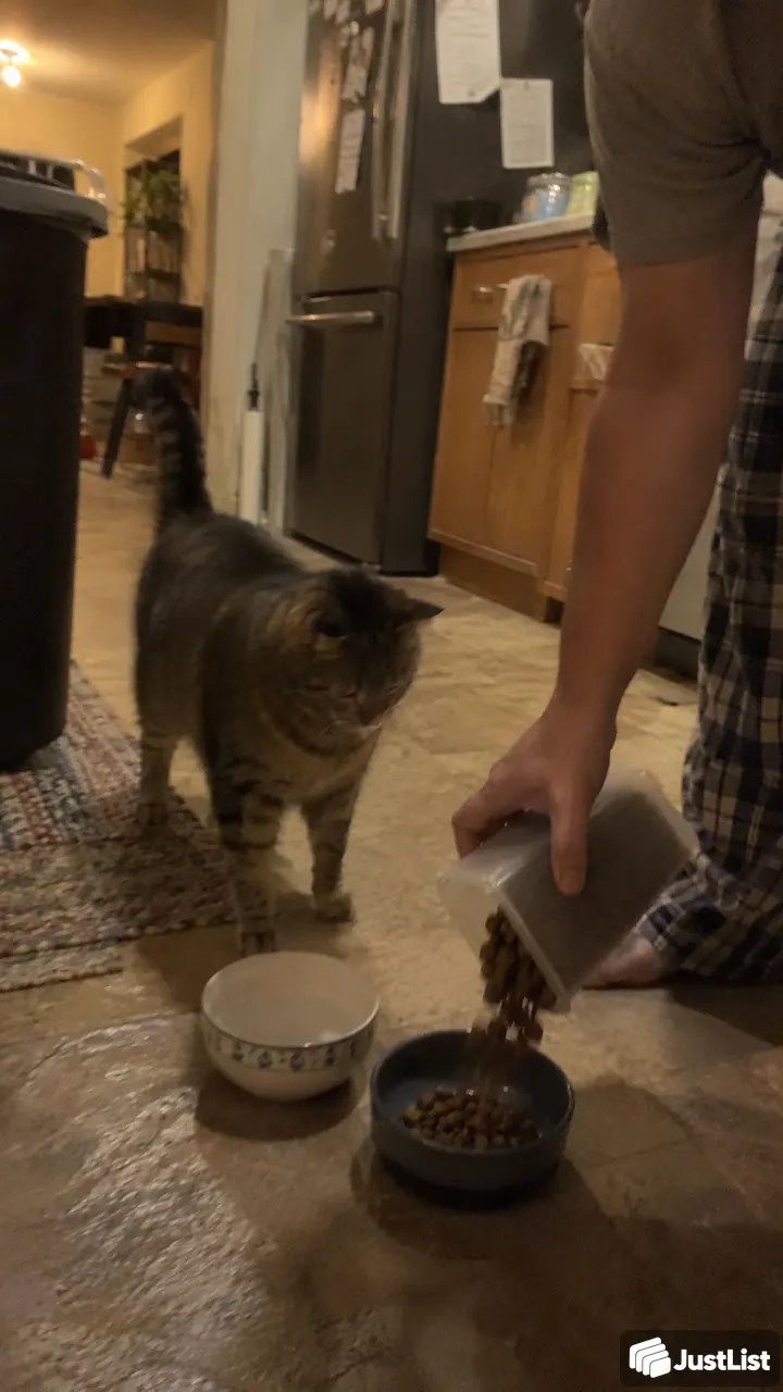 Keep the pets in their usual routine · South Florida