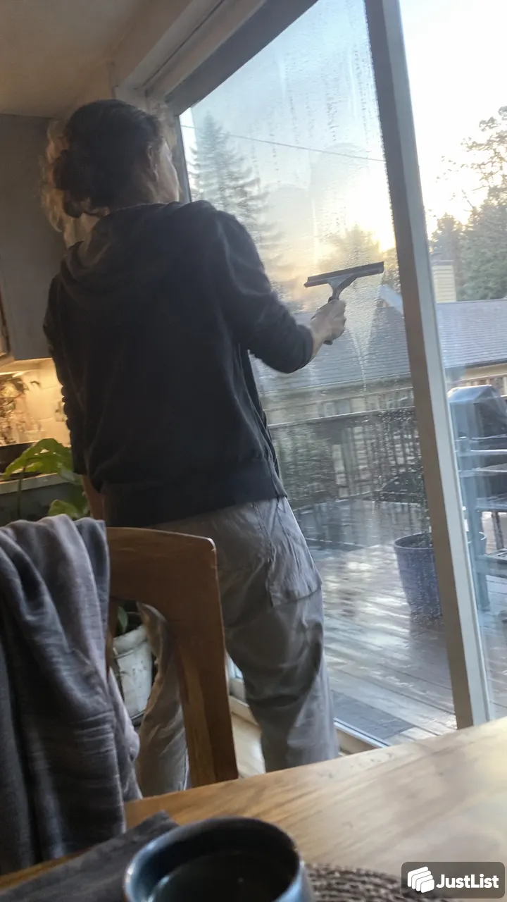 Glass, screens and grubby window tracks