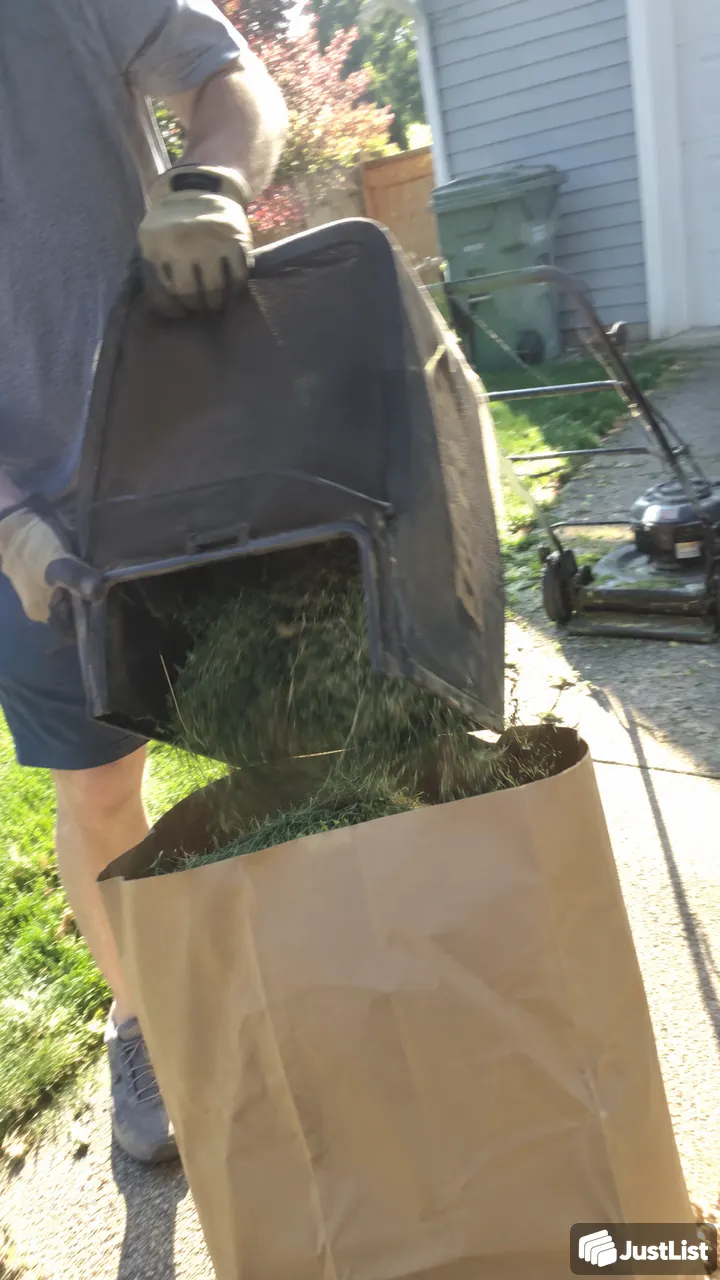 Washington: Lawn mowing, edging and a tidy finish