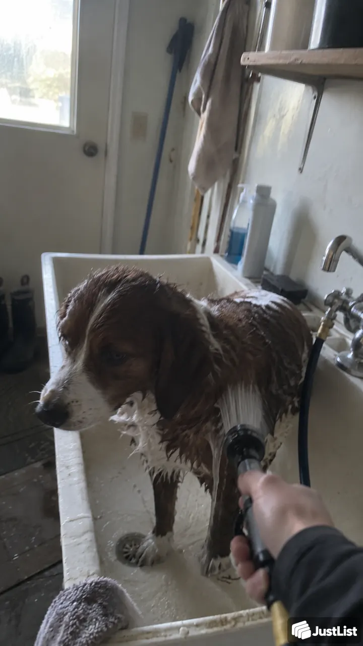 Bath, brush and a little coat tidy